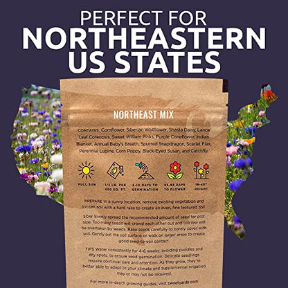 Sweet Yards - Northeast Wildflower Seed Regional Mixes - Bulk 1/4 Pound Bag - Over 30,000 Native Seeds - Open Pollinated and Non GMO Varieties for New York, Virginia, Pennsylvania, Maine and More! - size: 4 Ounce (Pack of 1), style: Northeast Regional Mix