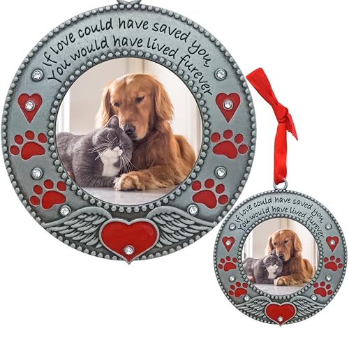 Pet Memorial Photo Ornaments Set of 3, Dog or Cat Remembrance Keepsake Picture Frames with Angel Wings, Paw Prints, Red Hearts, Enameled & Jeweled, Gift Bag Included, 3 Inch Round Holds 2 Inch Photo - size: 3 Standard