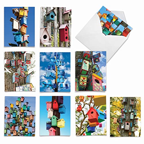 The Best Card Company - 10 Bird Note Cards Blank (4 x 5.12 Inch) - All Occasion Cards with Envelopes, Boxed Set - Birdhouse Beautiful AM6114OCB-B1x10 - style: Birdhouse Beautiful