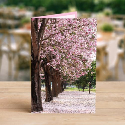 Designer Greetings For Your Words, Blank Cards 6 Pack - color: Cherry Blossom Trees