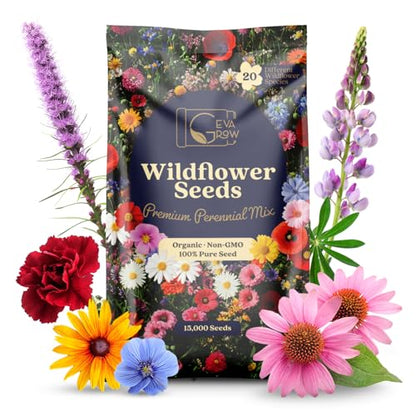 Perennial Wildflower Seeds – GevaGrow 1oz Packet Covers 100 Sq Ft | 20 Species of Non-GMO, Organic Flowers | High Germination, Pure Seed Mix for Outdoor Planting, Gardens, Pollinators & Bees - style: Premium Perennial Mix