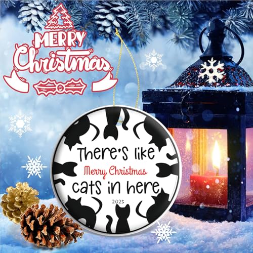 Tuxedo Cat Lover Christmas Ornament 2026, Cat Owner Gift - color: C12