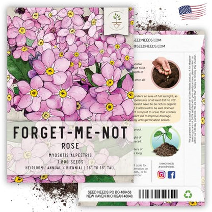Seed Needs Rose Forget Me Not Seeds to Plant Pink Flowers Outdoors 2 Packs - size: 2 Packs, style: Rose FMN