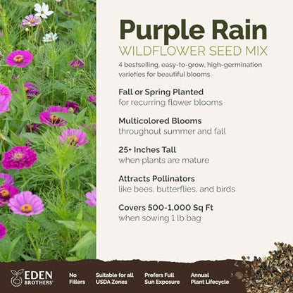 Eden Brothers Purple Rain Flower Mixed Seeds for Planting, 1 lb, 480,000+ Seeds with Zinnia Purple Prince & Violet Queen, Cosmos | Attracts Pollinators, Plant in Spring, Zones 3, 4, 5, 6, 7, 8, 9, 10 - size: 1 Pound, style: Purple Rain