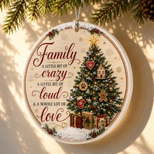 Family Christmas Ornament 2026, Funny Family Tree Ornament, A Little Bit of Crazy, A Little Bit of Loud, A Whole Lot of Love Holiday Keepsake - color: Family1