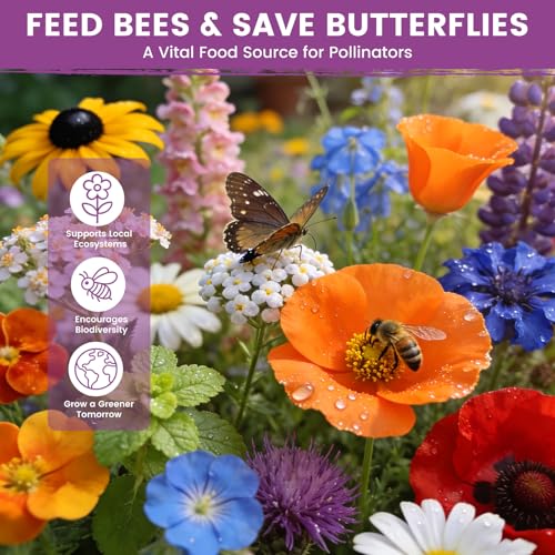 Wildflower Seeds Bulk Mix - 10,000+ Perennial & Annual Seeds - Texas, California & Florida Native Wildflower Seeds for Hummingbirds, Butterflies, & Cut Flowers - Cosmos, Throw and Grow - size: 25 Variety Perennial Mix