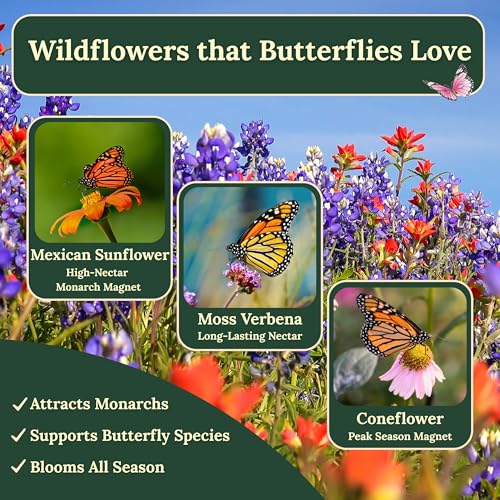 Freebird Wildflower Seeds for Bees & Butterflies - 22 Variety Mix - 4 oz