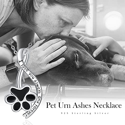 Dreamboat Urn Necklace for Dog Cat Ashes 925 Sterling Silver Pet Cremation Memorial Pendant Paw Print Ash Keepsake Jewelry for Women - color: Silver