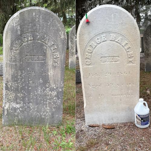 Endurance Gravestone & Monument Cleaning - Mini Set
