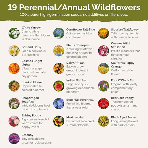 Eden Brothers Dry Area Wildflower Mixed Seeds for Planting, 1 lb - size: 1 Pound, style: Dry Area