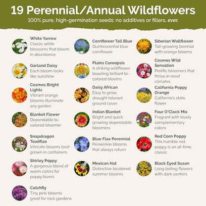 Eden Brothers Dry Area Wildflower Mixed Seeds for Planting, 1/4 lb - size: 1/4 Pound, style: Dry Area