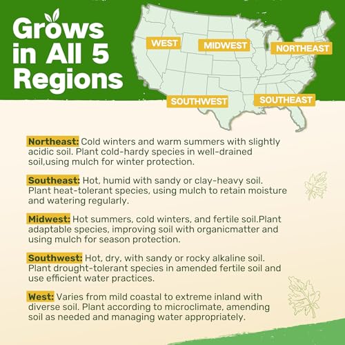 Lush&Dew Cut Flower Seed Bank, Gardening Gifts for Women, 32 Variety Seeds | Non-GMO Annual Perennial Wildflower Heirloom Seeds for Planting in Raised Garden Beds, Home Garden, Zinnia Sunflowr Zone 3-10 - style: Cut Flower