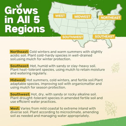 Lush&Dew Cut Flower Seed Bank, Gardening Gifts for Women, 32 Variety Seeds | Non-GMO Annual Perennial Wildflower Heirloom Seeds for Planting in Raised Garden Beds, Home Garden, Zinnia Sunflowr Zone 3-10 - style: Cut Flower