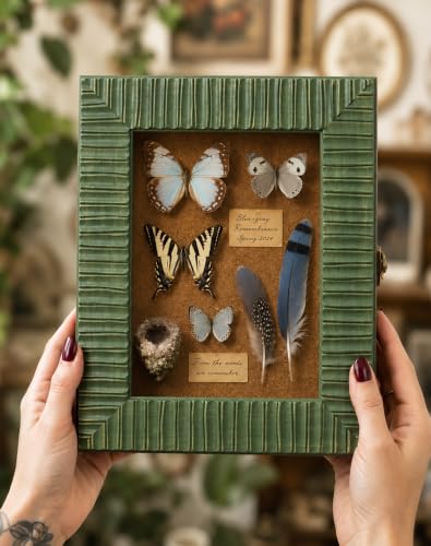 8x10 Boho Shadow Box Frame for Botanical Specimens Plant Print,Sage Green - color: Sage Green, size: 8x10