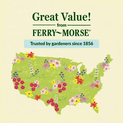 Ferry-Morse Cut Flower Bulk Wildflower Seeds, 280,000+, 1 lb - color: Cut Flower