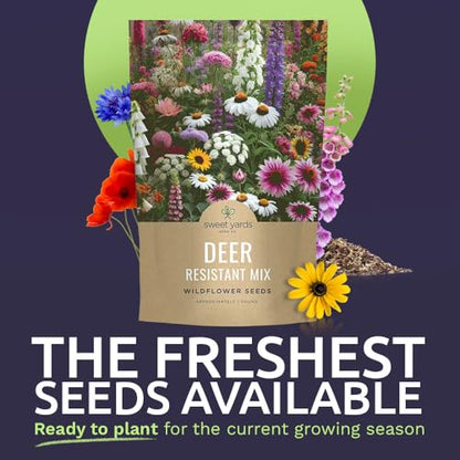 Deer Resistant Wildflower Seed Mixture - Bulk 1 Pound Bag - Over 240,000 Deer Tolerant Seeds - Open Pollinated and Non GMO - size: Bulk 1 Pound