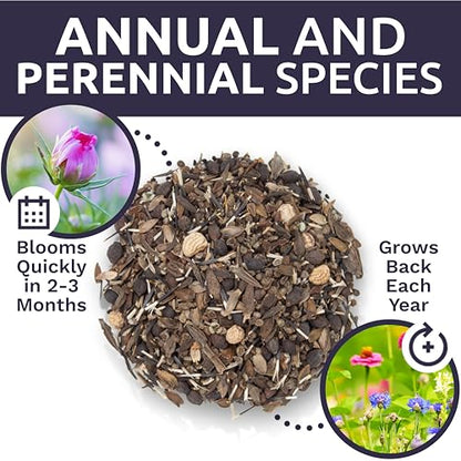 Bulk Wildflower Seeds Butterfly and Hummingbird Mix - 1 Pound Bag - Over 120,000 Open Pollinated Annual and Perennial Seeds - size: Bulk 1 Pound
