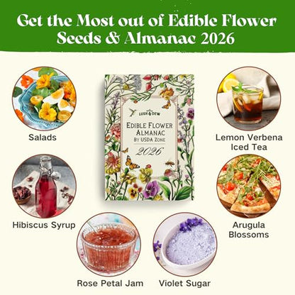 Lush&Dew Edible Flower Seed Bank with Almanac, Gardening Gifts for Women | 32 Types 30,000+ Non-GMO Heirloom Seeds for Planting Culinary Flowers, Survival Seed Kit, Gardener Gifts, Annuals Perennials - style: Edible Flowers