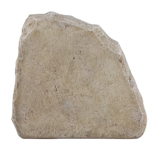 Enesco Izzy and Oliver Caring Cardinals Always in Our Hearts Garden Stone Sculpture, 5.75 Inch, Multicolor
