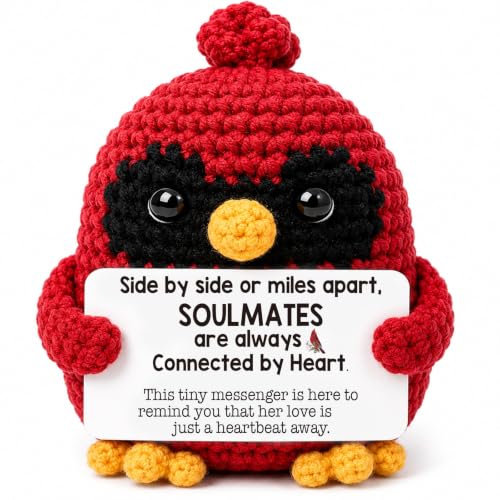 Handmade Crochet Cardinal Memorial Gift Loss of Wife Soulmates Bereavement Sympathy Remembrance Comfort Condolence Passed Away Loved One Spouse Red Bird Spiritual Messenger Keepsake - style: Loss of Wife