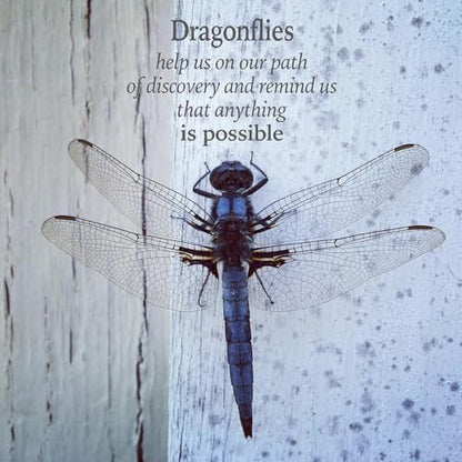 Dragonfly Gifts Women, Inspirational Encouragement Dragonfly Gift Ideas | Hardcover Notebook Gold Foil 200 Pages A5 Lined, Dragonfly Themed Gift for Dragonfly Lover Friend Birthday Holiday Christmas - color: Purple