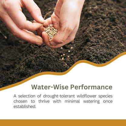 Drought Tolerant Wildflower Mix, 1 oz, 20,000+ Seeds | Extra Large Resealable Packet, Non-GMO Flower Seeds for Dry Climates