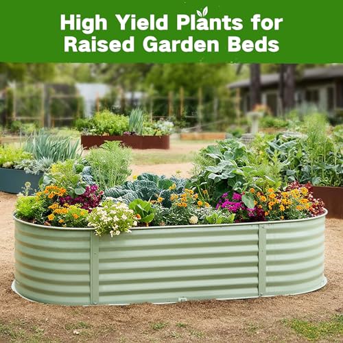 Lush&Dew Raised Garden Bed Heirloom Seed Bank, 32 Type 30000+ Non-GMO Seeds - style: Raised Garden Beds