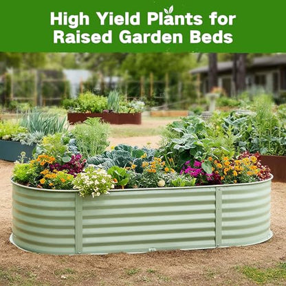 Lush&Dew Raised Garden Bed Heirloom Seed Bank, 32 Type 30000+ Non-GMO Seeds - style: Raised Garden Beds