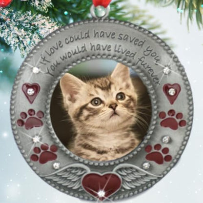 Pet Memorial Photo Ornaments Set of 3, Dog or Cat Remembrance Keepsake Picture Frames with Angel Wings, Paw Prints, Red Hearts, Enameled & Jeweled, Gift Bag Included, 3 Inch Round Holds 2 Inch Photo - size: 3 Standard