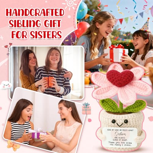 Sister Birthday Gifts from Sisters Brother, Thank you for being the family I chose Birthday Valentines Christmas, Mini Crochet Flower Affirmation Support Presents, Long Distance Gift for Bestie - color: Sisters2