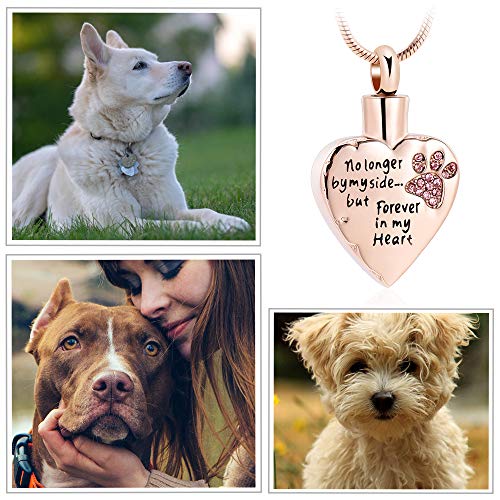 memorial jewelry No Longer by My Side,But Forever in My Heart Carved Locket Cremation Urn Necklace for Pet Dog Cats - color: RoseGold-Pink