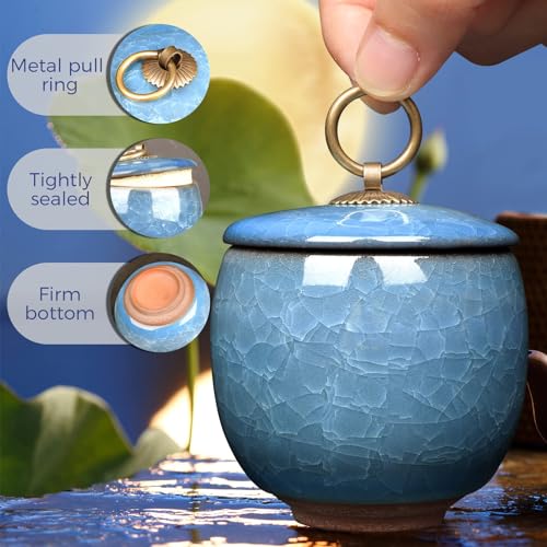 Small Urns for Human Ashes Keepsake, Ceramic Ice Crack Memorial Keepsake Cremation Urns Token Urns Mini Sharing Funeral Urns with Black Premium Box,Sky Blue - color: Sky Blue