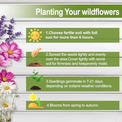 160000+ Wildflower Seeds Bulk, 13 Varieties Perennial & Annual Mix, 4oz - color: wildflower