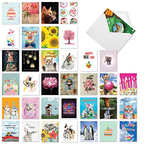 Best Card Co 36 Assorted Funny Birthday Notecards Bulk Box Set 4 x 5.12 Inch with Envelopes (36 Designs, 1 Each) Animals, B-Day Card Variety Pack A Bunch of Birthdays AM7744BDG-B1x36 - style: A Bunch of Birthdays