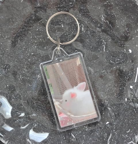 BetterJonny 20Pcs Acrylic Picture Keychain Blanks in Clear Acrylic Picture Frame Keyrings - color: Small Rectangle