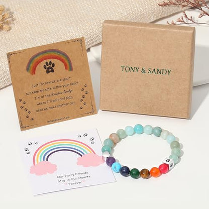 TONY & SANDY Dog Memorial Gifts, Pet Sympathy Rainbow Bridge Pet Memorial Bracelet for Men Women Girls Who Loss of Beloved Dog Cat - color: Amazonite