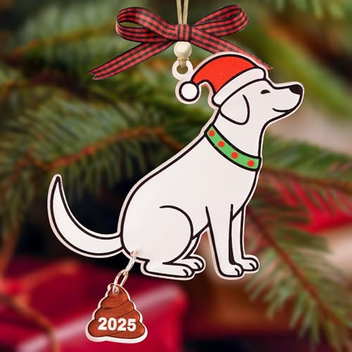 God Say You are Christian Christmas Ornament 2025, God Says I am 2D Flat Acrylic Christmas Ornament Reading Girl Xmas Decor with Book Lover Bookworms (Katinat- KL Dog Shit Ornament) - color: Katinat- Kl Dog Shit Ornament