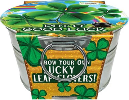 Grow Your Own Shamrocks Plant Seeds 3-Pack, DIY Indoor Succulents and Live Plants for Home or Garden Planting, Pot O' Good Luck - color: Pot O' Good Luck 3-PK