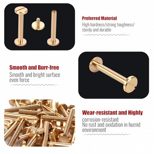Chicago Binding Screws - 4mm x 28mm Binding Posts - 10mm Phillips Nut - Chicago Screw Binding Post Screw Kit for DIY Leather Decoration Scrapbook Photo Albums Bookbinding (Brass, 25 PCS) - size: 4mm x 28mm