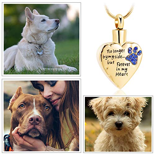 memorial jewelry No Longer by My Side,But Forever in My Heart Carved Locket Cremation Urn Necklace for Pet Dog Cats - color: Gold-Blue