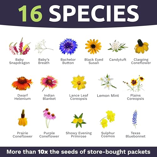 Texas Oklahoma Regional Mix Seeds for Planting - Bulk 1 Pound Bag - Over 240,000 Native Seeds - Open Pollinated and Non GMO - size: Bulk 1 Pound, style: Texas / Oklahoma Regional Mix