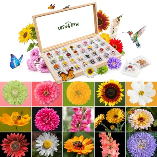 Lush&Dew Cut Flower Seed Bank, Gardening Gifts for Women, 32 Variety Seeds | Non-GMO Annual Perennial Wildflower Heirloom Seeds for Planting in Raised Garden Beds, Home Garden, Zinnia Sunflowr Zone 3-10 - style: Cut Flower