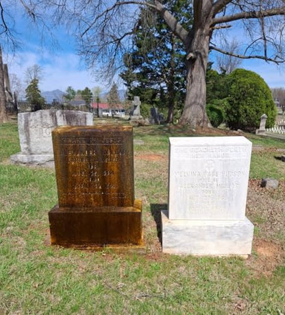 Endurance Gravestone & Monument Cleaning - Mini Set