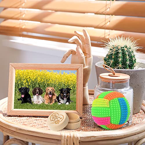 CJiangpo Dog Memorial Keepsake Box for Pet Hair, Pet Fur Keepsake Gifts | Pet Memorial Gifts for Loss of Dog Cat, Wooden Pet Ashes Container Urns, Pet Loss Sympathy Gifts Remembrance
