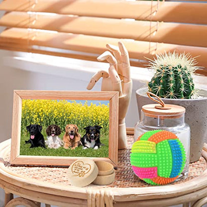 CJiangpo Dog Memorial Keepsake Box for Pet Hair, Pet Fur Keepsake Gifts | Pet Memorial Gifts for Loss of Dog Cat, Wooden Pet Ashes Container Urns, Pet Loss Sympathy Gifts Remembrance