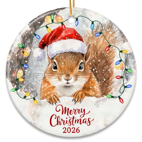 ZAGKOO Squirrel Christmas Ornament, Funny Squirrel Gift for Squirrels Lover | Animal Lover Gifts - Cute Squirrels Ornaments for Christmas Tree - Ceramic Xmas Tree Holiday Decor 2026 - color: Christmas Squirrel