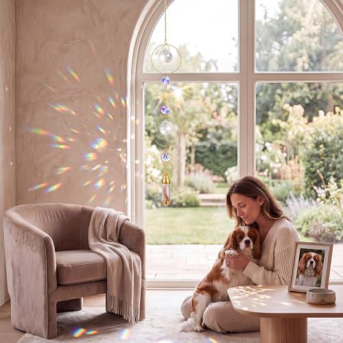 Yalikop Pet Memorial Urn Suncatcher Dog Cat Memorial Gifts,Sun - style: Sun