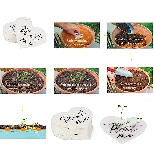 50 Plantable Wildflower Paper, Ecological Heart Shaped Babyshower Favors for Guests - Bridal Funeral Memorial Plantable Gifts NO Cards
