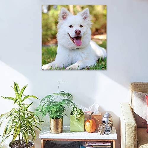 Personalized Photo to Canvas Print - Canvas Prints With Your Photos on Custom Wall Art for Bedroom, Living Room, Wedding Baby Pet Family Picture Framed Wall Art (16" W x 16" H) - size: 16"L x 16"W