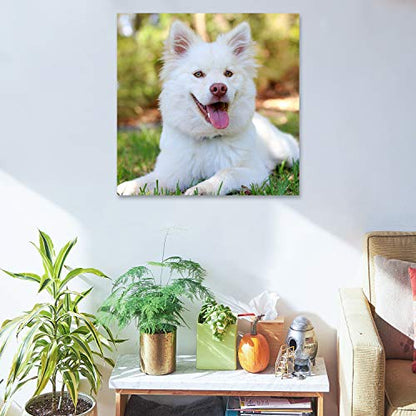 Personalized Photo to Canvas Print - Canvas Prints With Your Photos on Custom Wall Art for Bedroom, Living Room, Wedding Baby Pet Family Picture Framed Wall Art (16" W x 16" H) - size: 16"L x 16"W